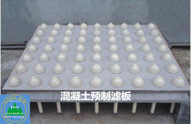 濾板